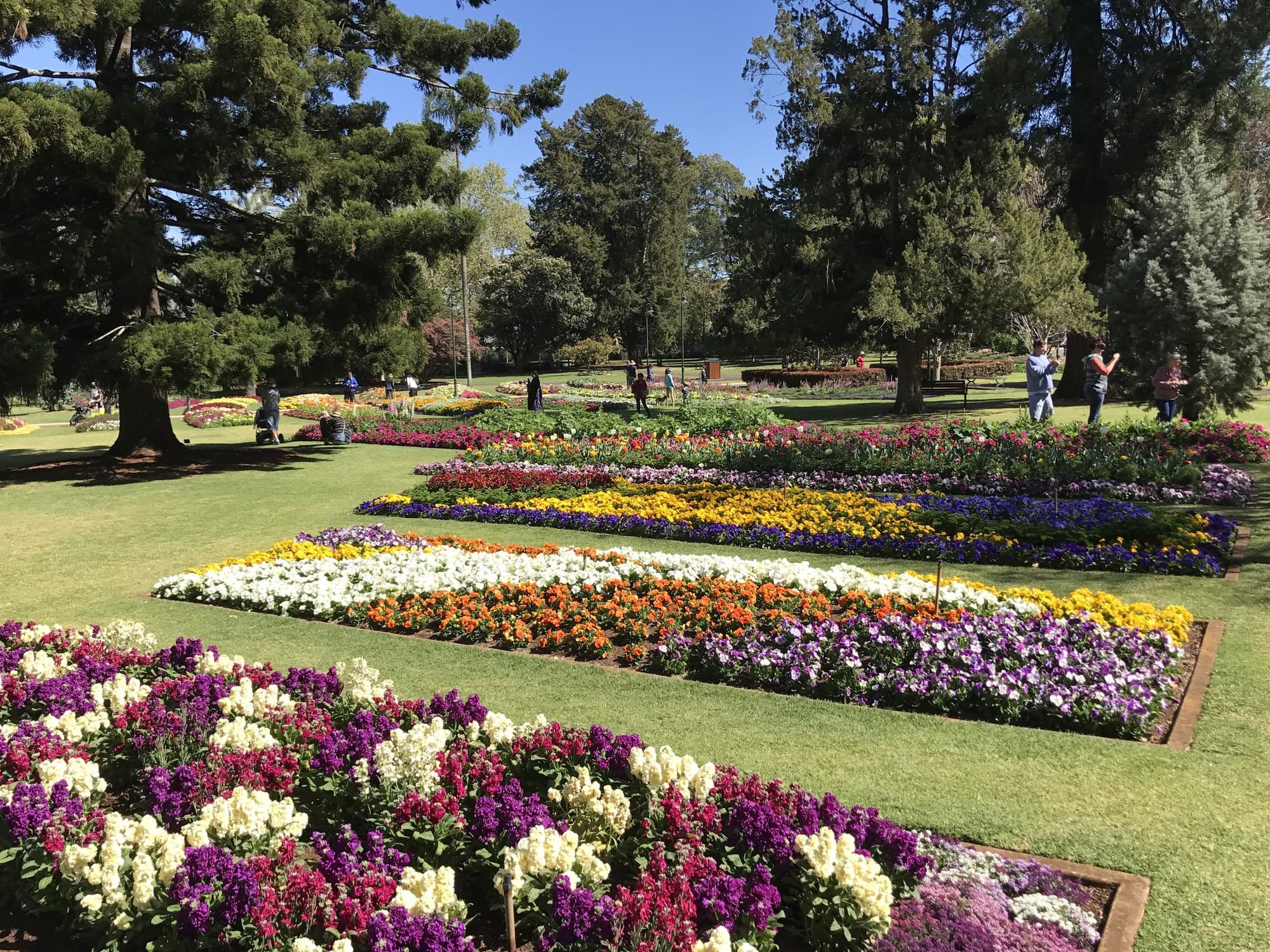 Flower beds at the Toowoomba Carnival of Flowers, Queens Park