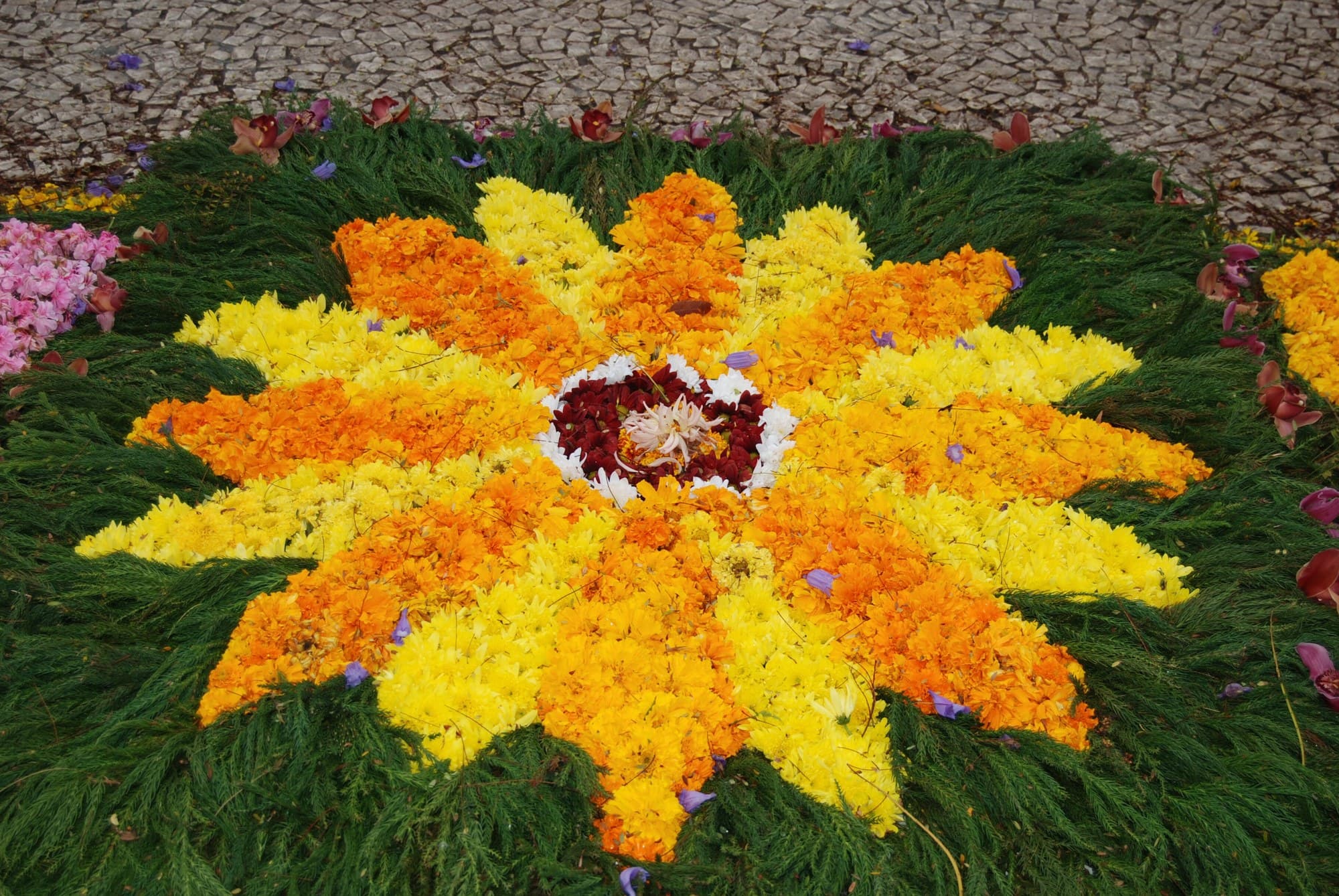 Flower carpet at the Madeira Flower Festival, Funchal