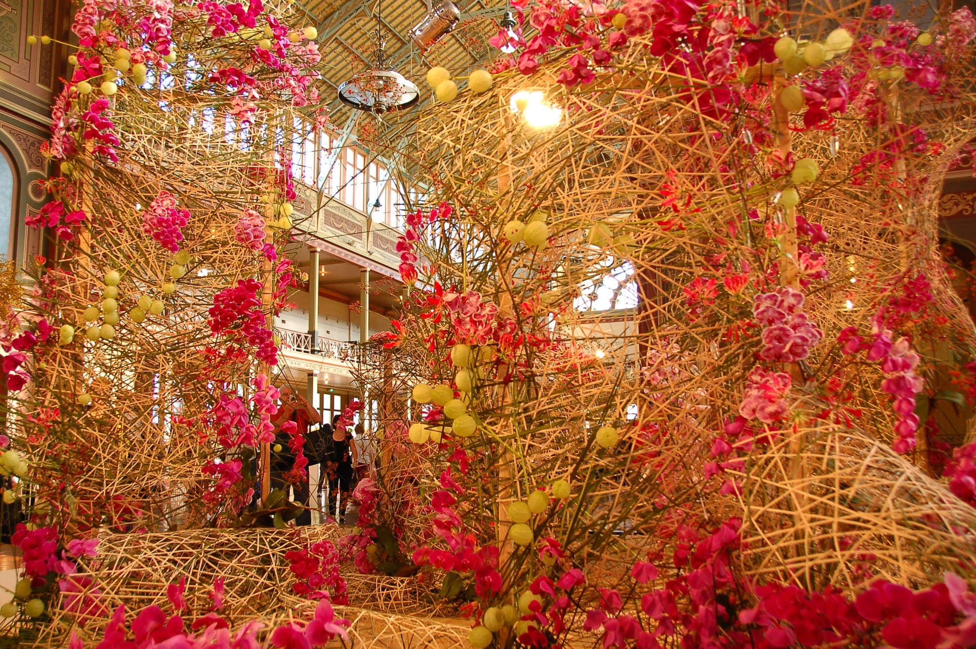Floral installation at the Melbourne International Flower and Garden Show
