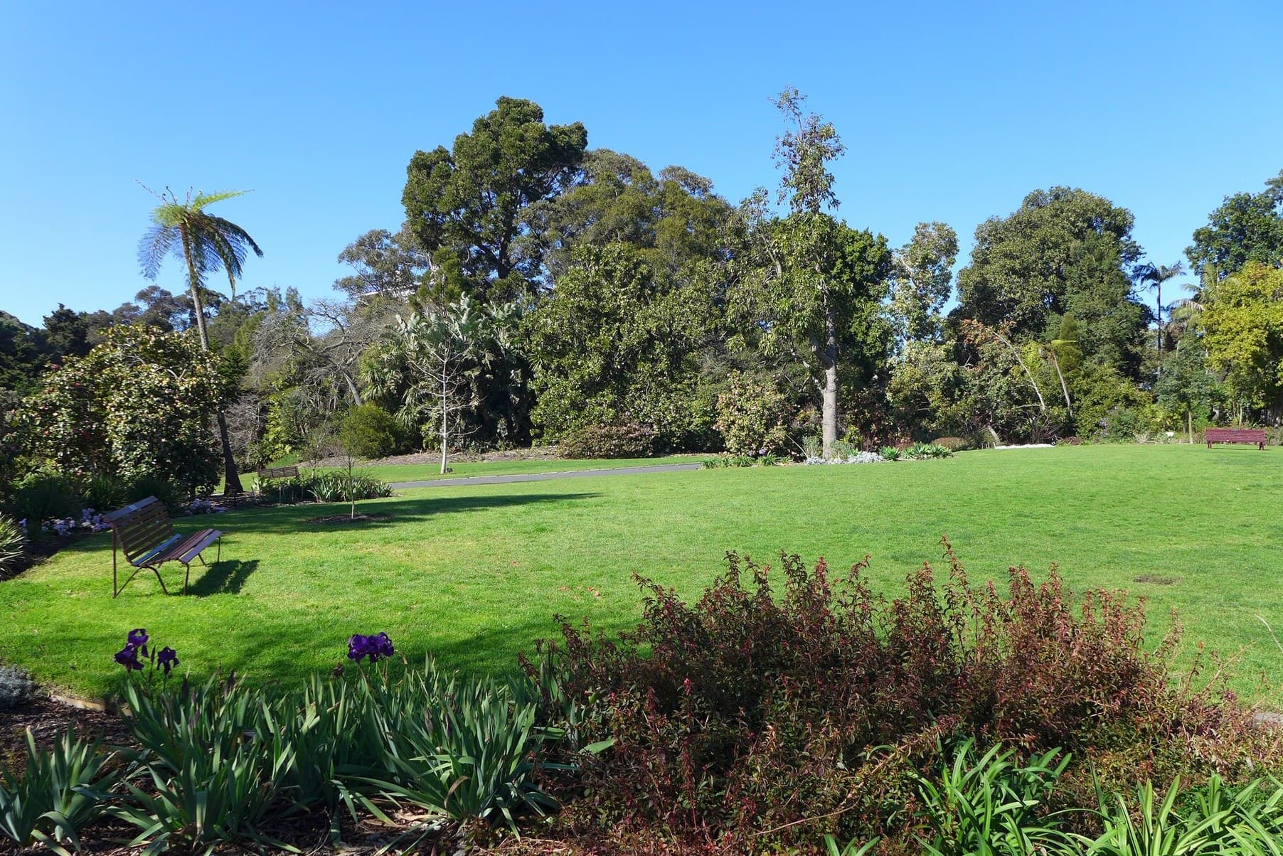 Lawn and trees at the Royal Botanic Gardens Melbourne