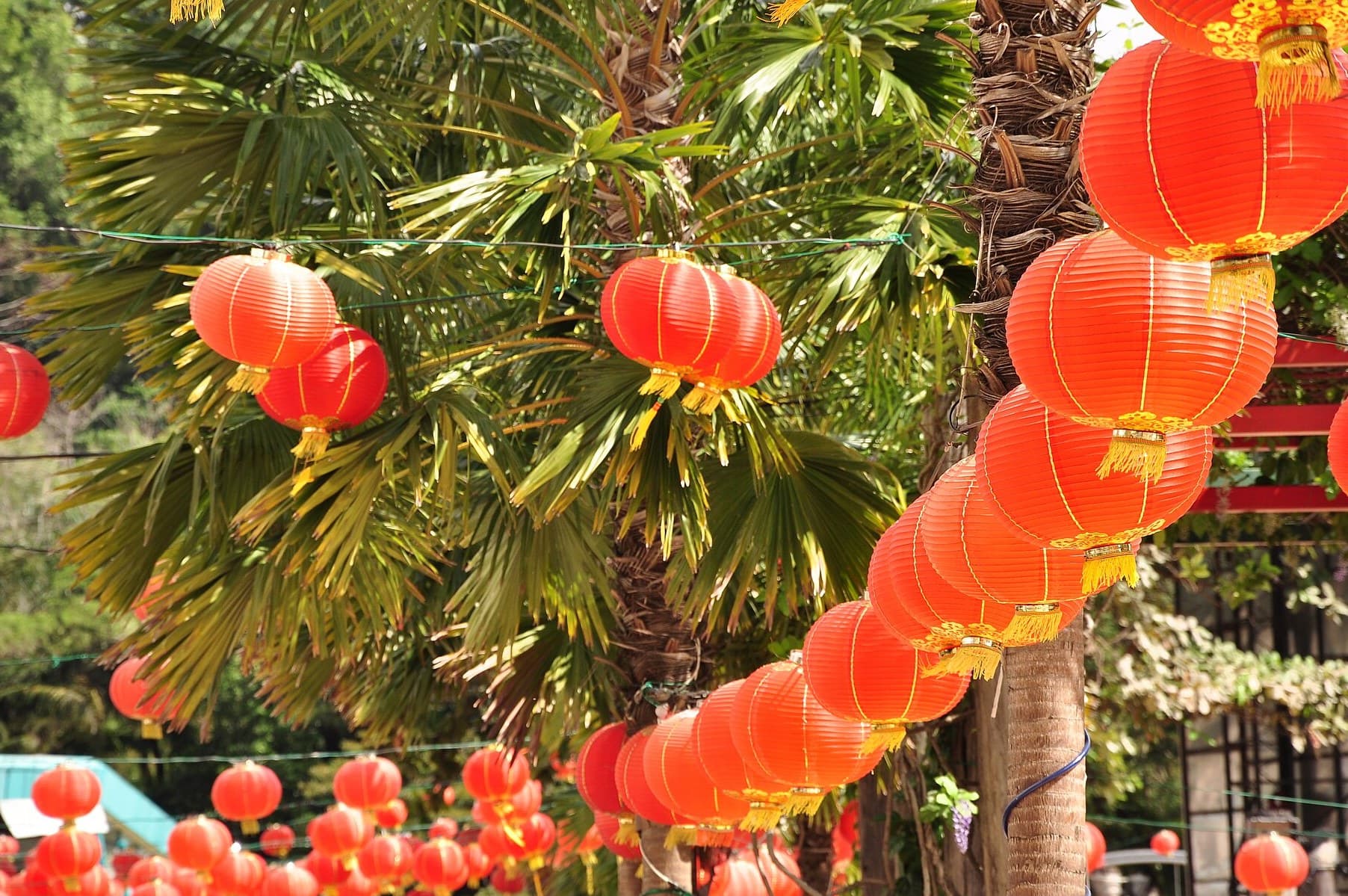Red lanterns hung for Chinese New Year
