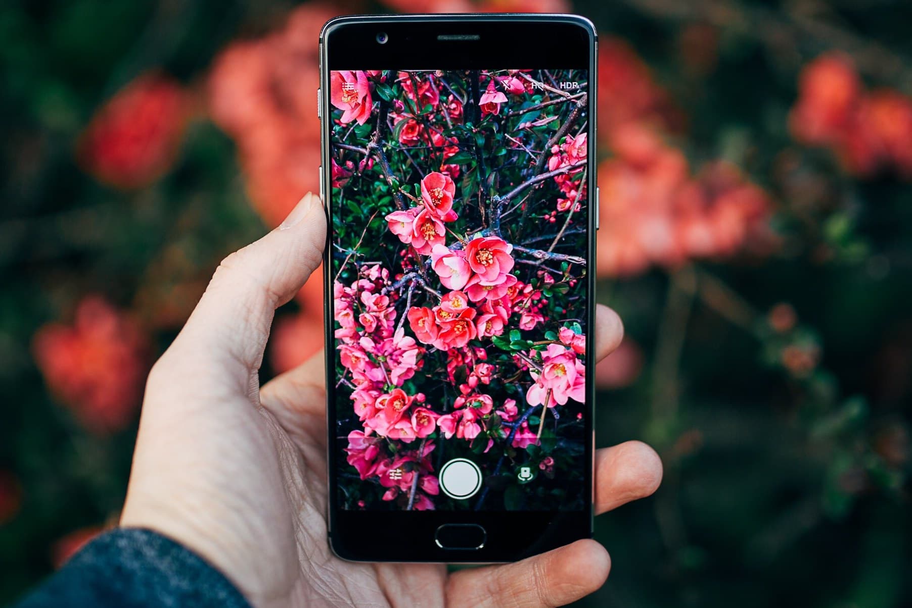 Best Plant Care Apps in Australia (2026 Guide)