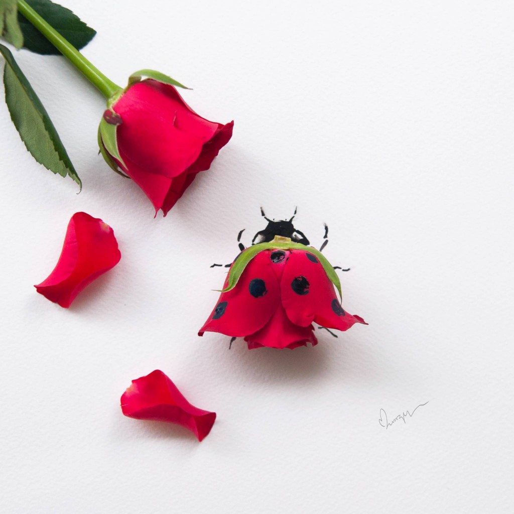 Rose Red