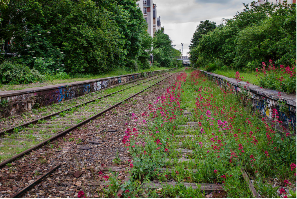 Le Petite Ceinture