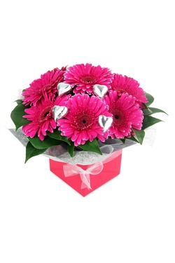 Gerbera and Chocolate Box