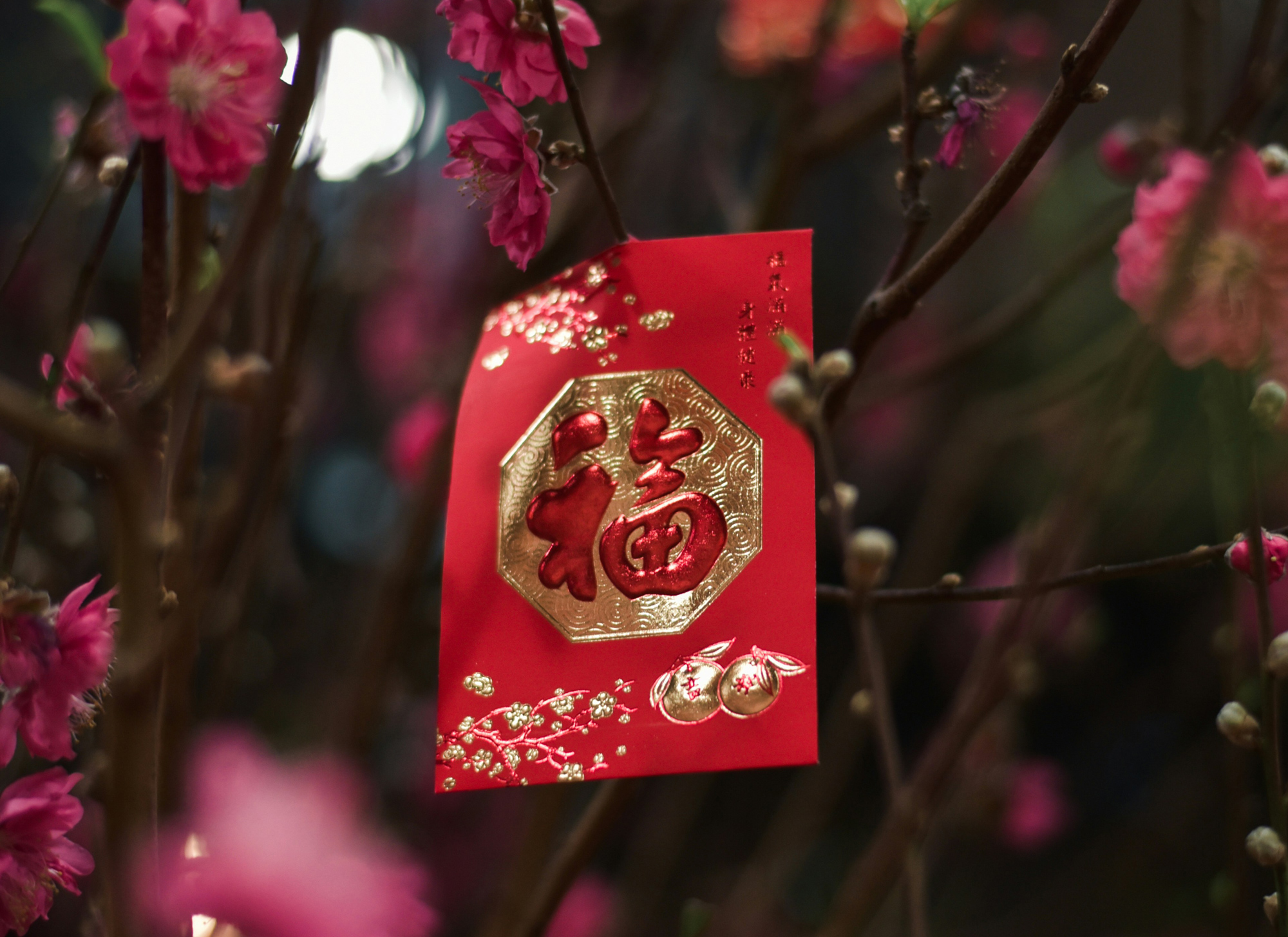 The Best Lunar New Year Flowers to Gift