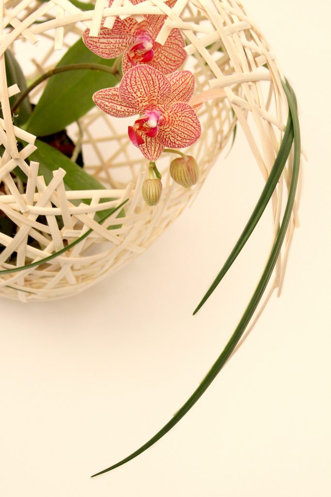 Floral design by Mark Pampling © Image is subject to copyright. 