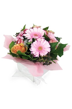 Mini Gerbra,roses