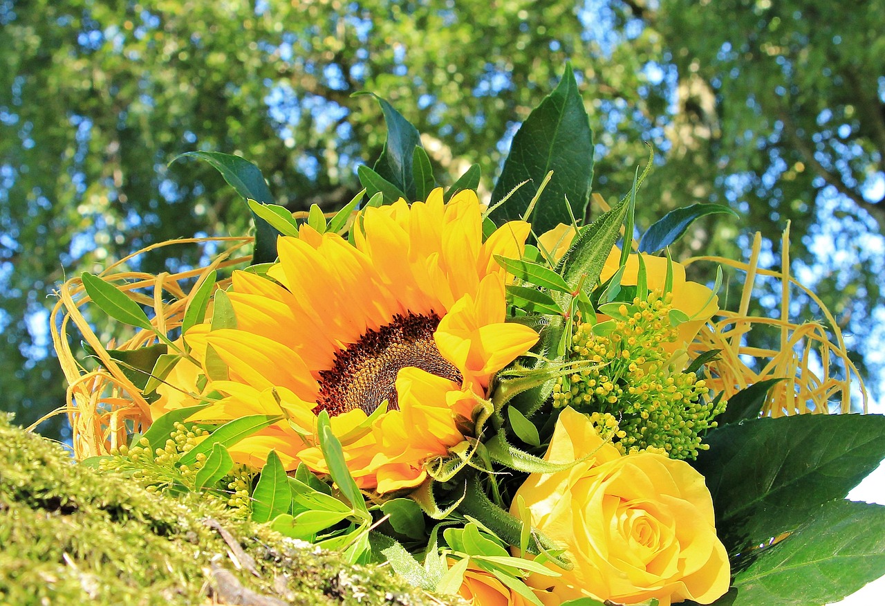 30 Of the Most Beautiful Yellow Flowers Around the World