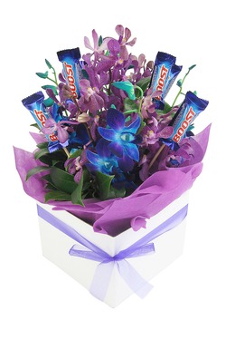 Orchids
