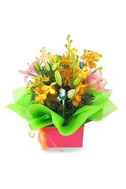 orchids and lilys