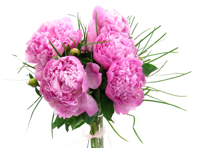 Peonies-vase