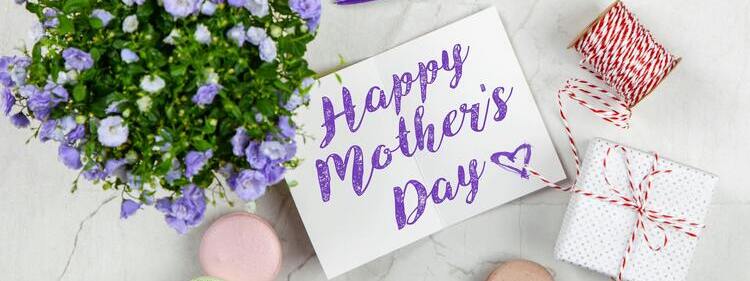 Purple flowers cards and gifts