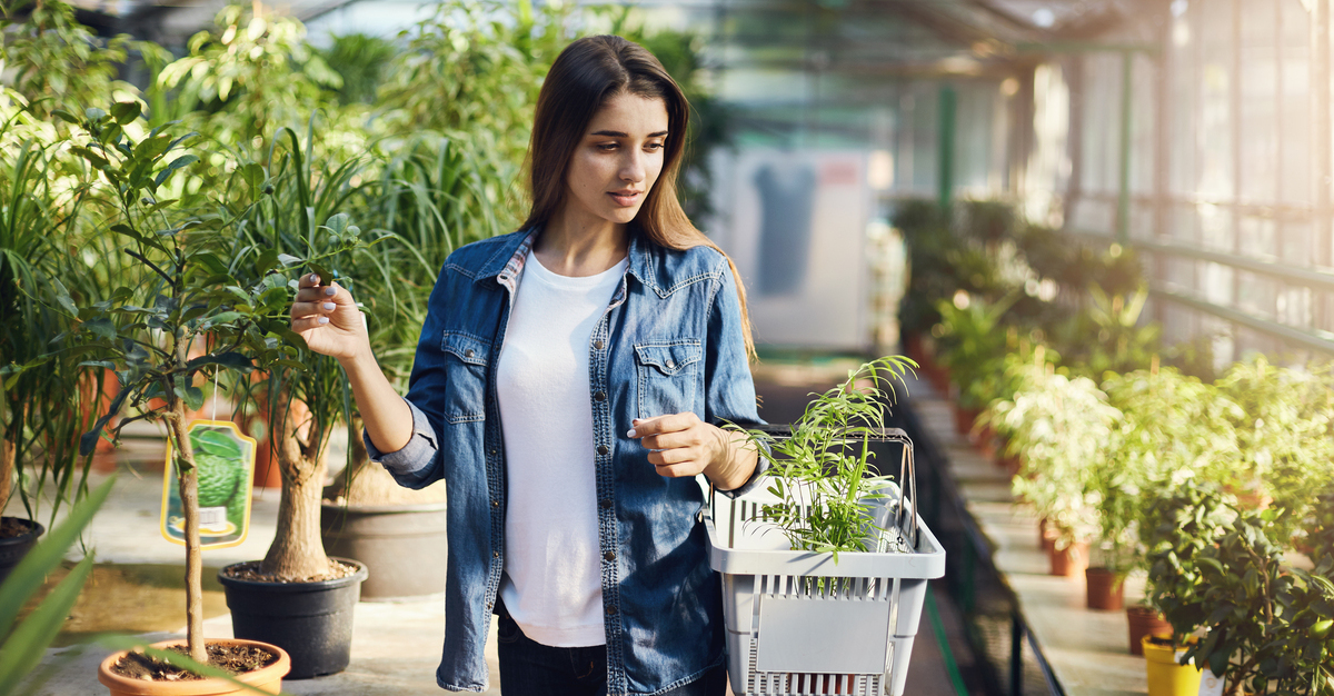 Must visit Plant Nurseries in Sydney