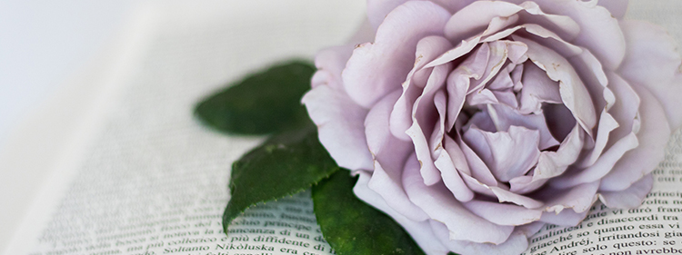 Rose on a Book