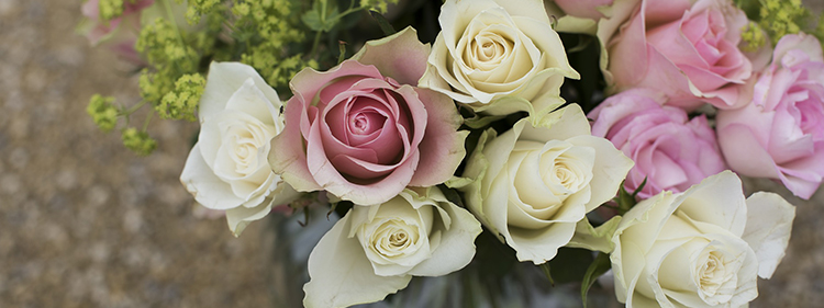 Roses in a Vase