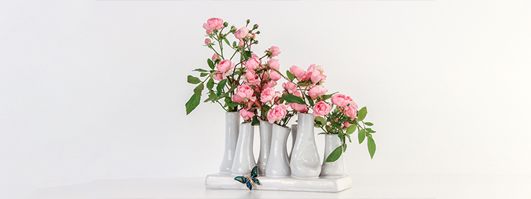 Miniature Roses
