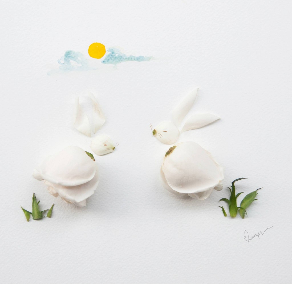 White Rose