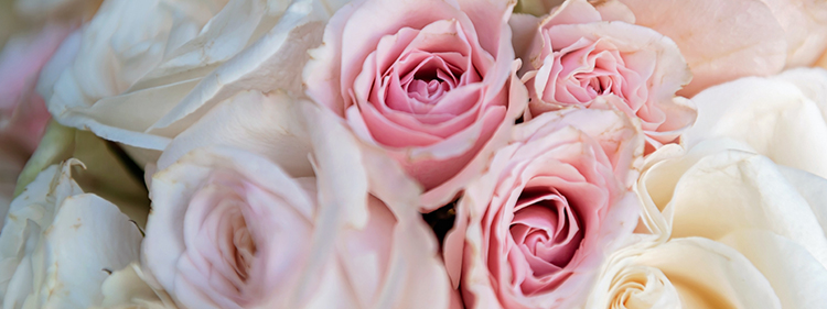 White and pink rose bouquet for showing sympathy