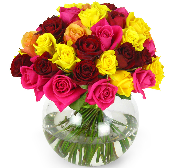 roses