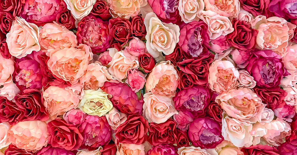 How To Preserve Roses