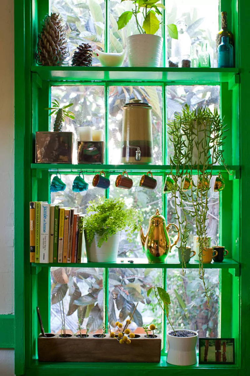 Room with a plants in the shelf