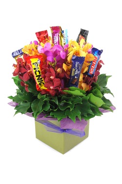 Sweet Orchids