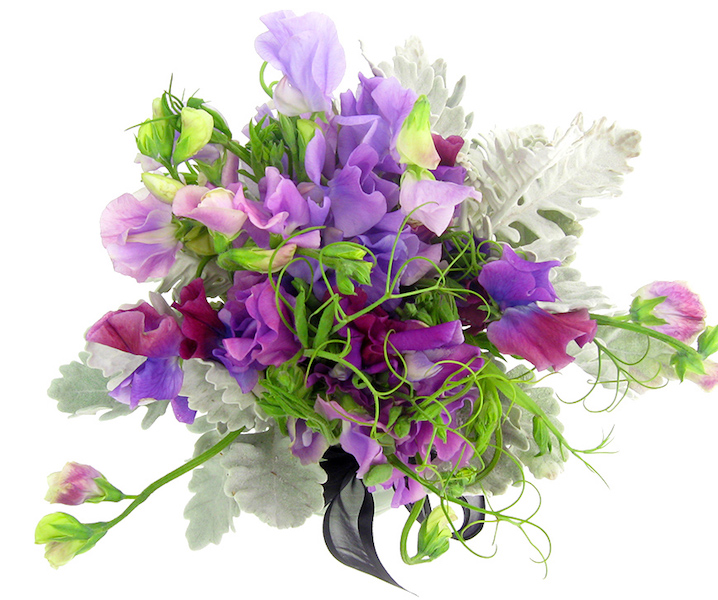Sweet pea flower