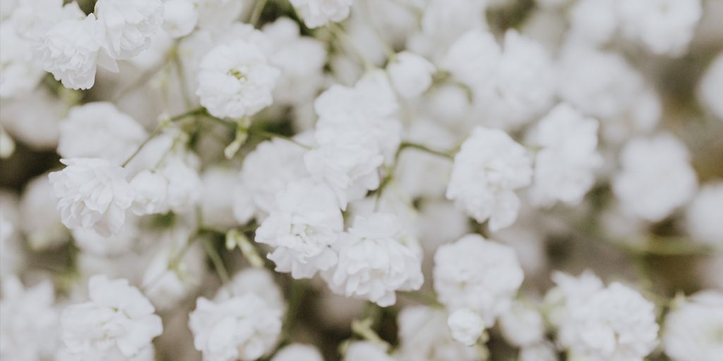 White flowers to show sympathy