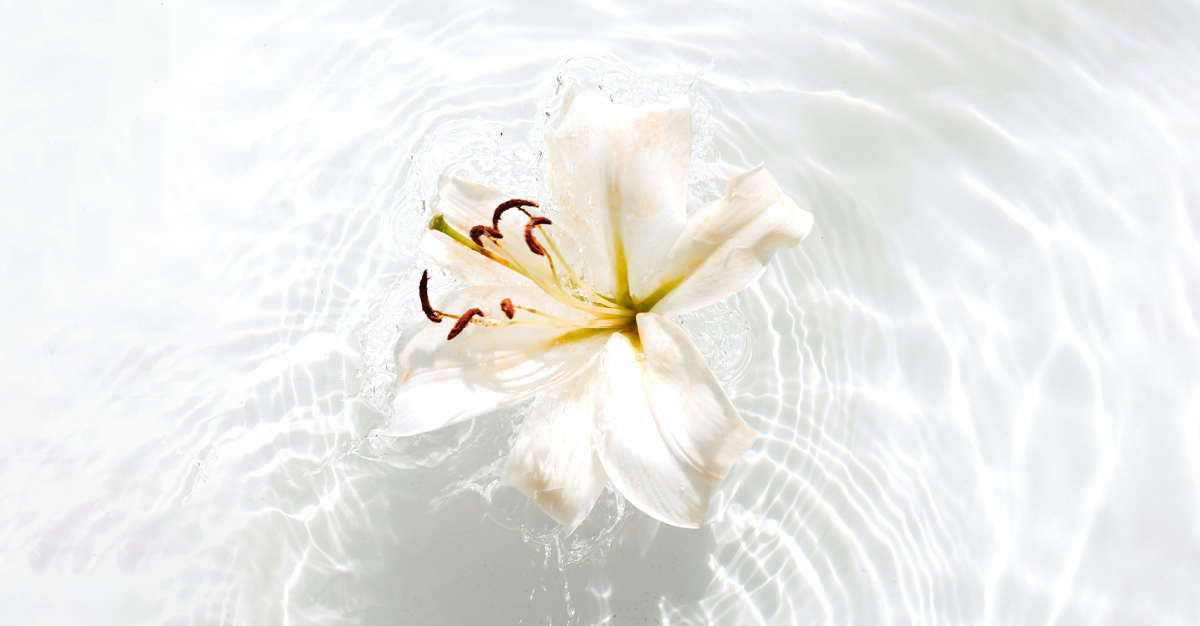 Flowers for Mourning