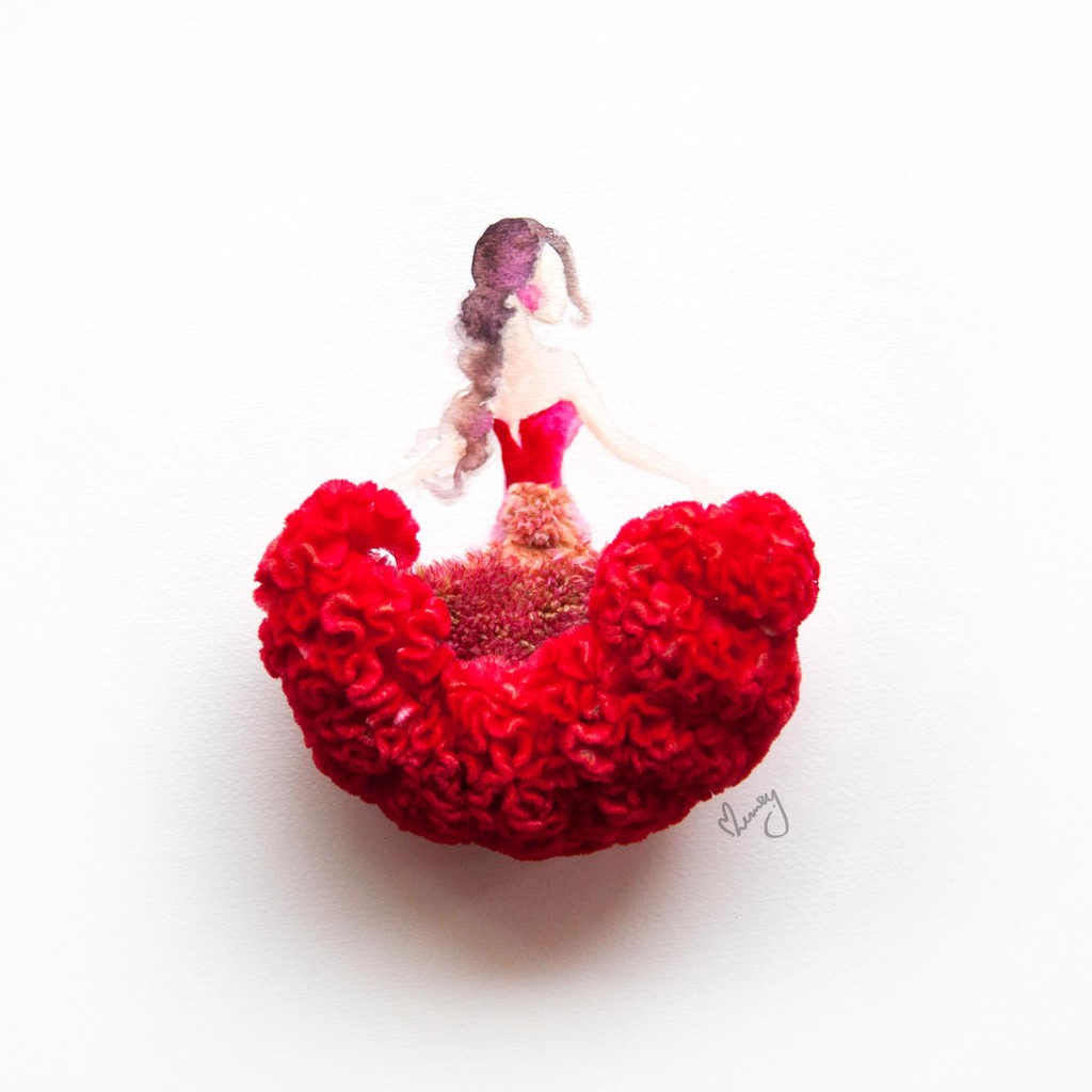 Celosia Flower