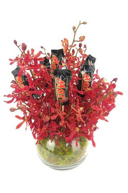Tropical orchids
