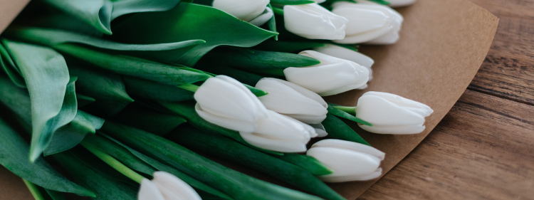 White Tulip bouquet on wooden table