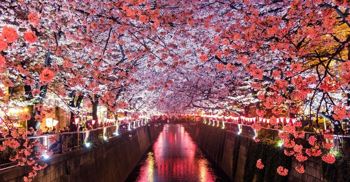 The Best Flower Festivals Around The World