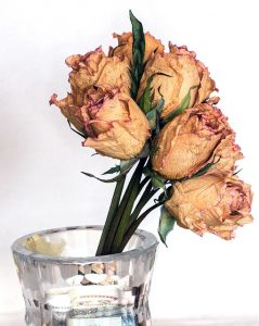 How to Keep Your Flowers Alive Longer (Step-by-Step Guide)