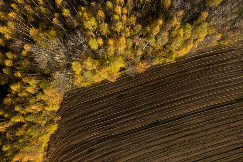 Navigating the evolution of EUDR: From crisis to compliance