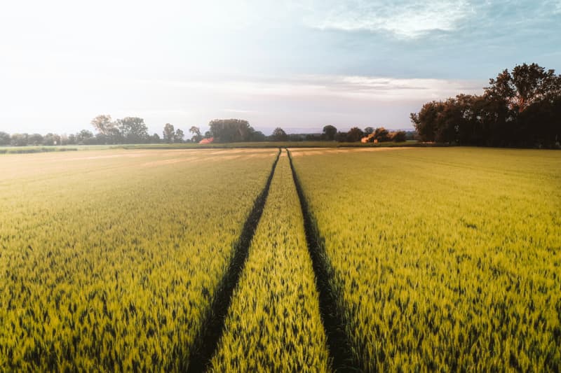 Have you been oblivious to ESG?