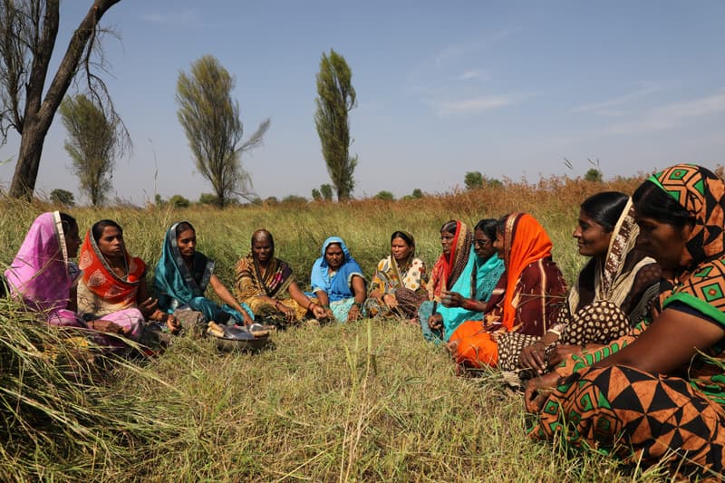 Gender Equality: Gender Issues in Agriculture technology Development.