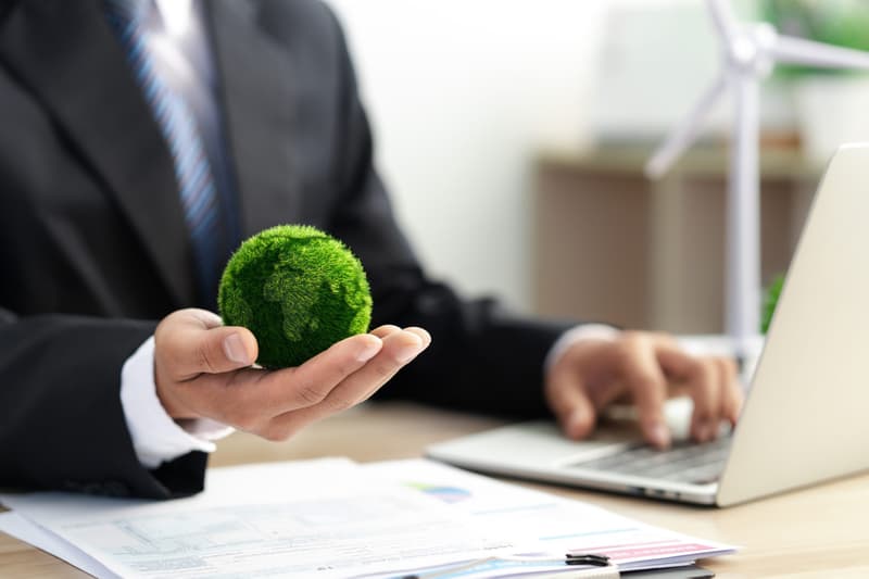 Navigating the corporate sustainability due diligence directive (CS3D): A guide for SMEs