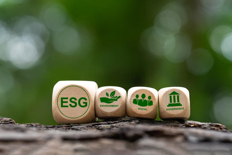 Driving ESG transformation in the agri-food industry