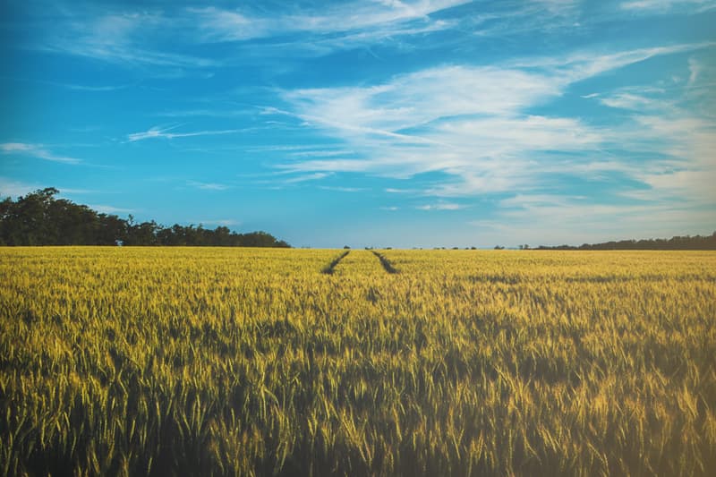 EU Due Diligence Act is Out – Are you ready?