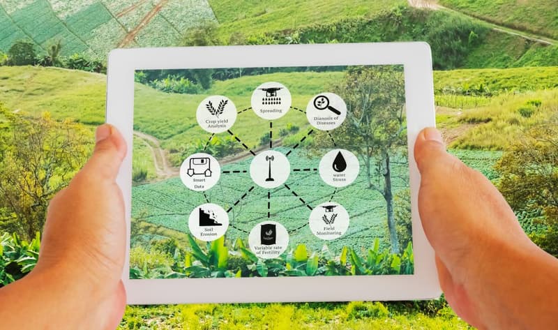 CIED & NG Sensors bag the grant from S3FOOD 