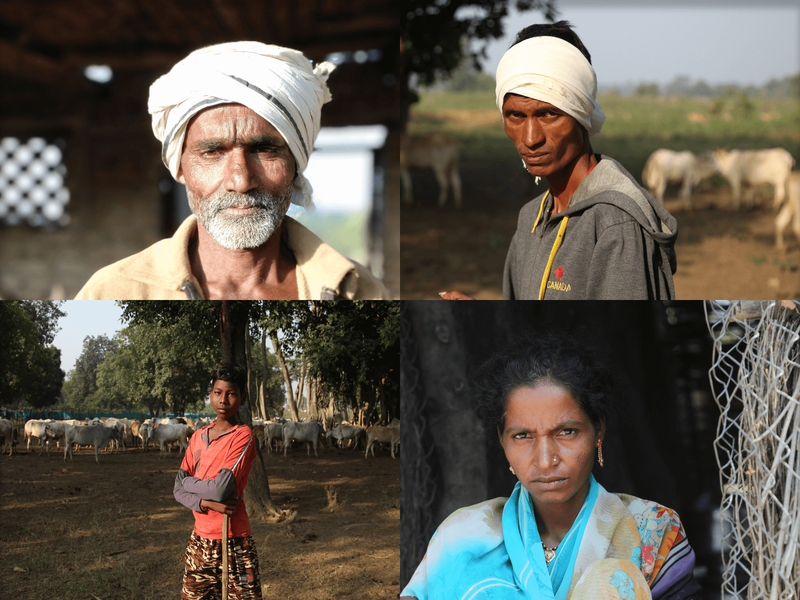 FPOs a solution for vulnerable Indian farmers against corporate?