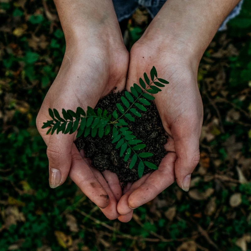 A Traceable Food System for a Sustainable Planet