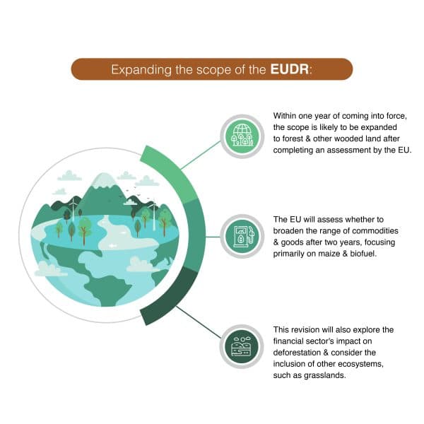 EUDR_9.10.2023-01