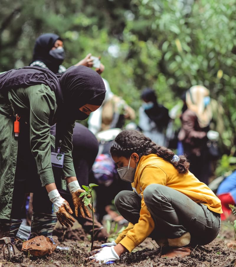 Promoting sustainability education amid COVID-19 with E-learning technology