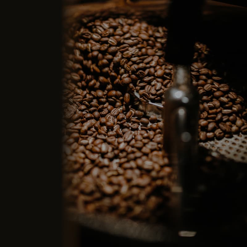 Case Study of The Orang Utan Coffee Supply Chain