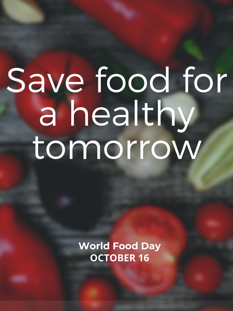 World Food Day 2021: Get in on the Action with CIED