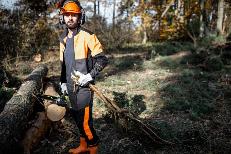 Protecting rights, ensuring responsibility, EUDR and ethical business