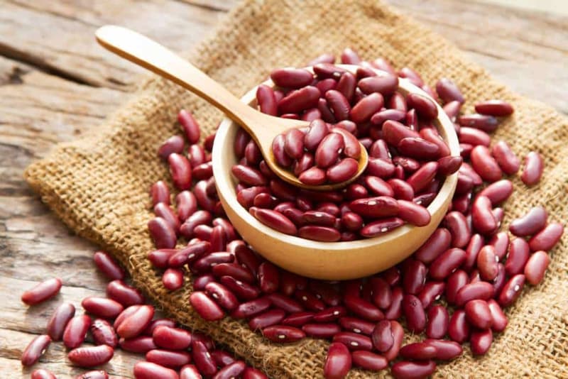 Benefits of Kidney Beans, Nutritional Facts, Recipes, Side Effects and More